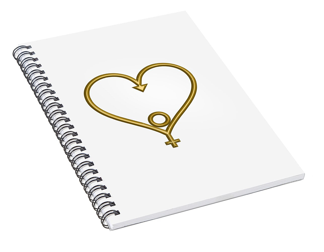 Spiral Journal Notebook • Heart of Hope for the Age of Aquarius - •